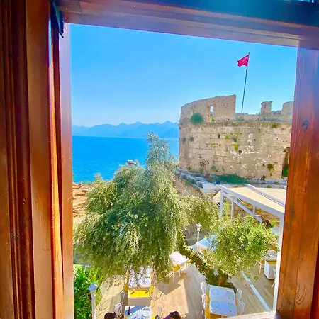 Ulivo * Antalya