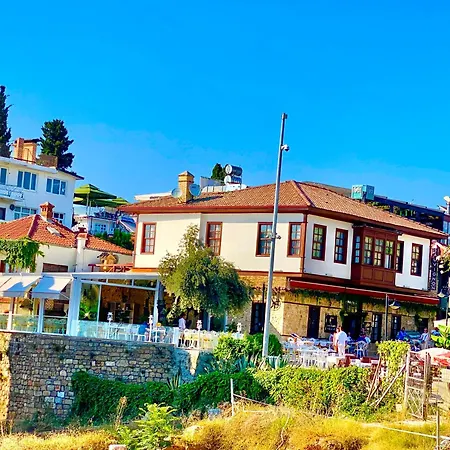 Ulivo * Antalya